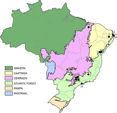 Specialist Bee Species Are Larger and Less Phylogenetically Distinct Than Generalists in Tropical Plant–Bee Interaction Networks